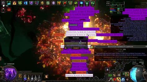 T17 Curation farm .
